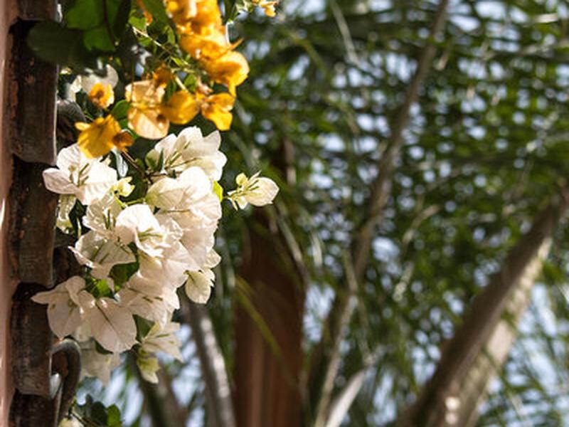 3D0F90403E42E333E663830C66A87C69