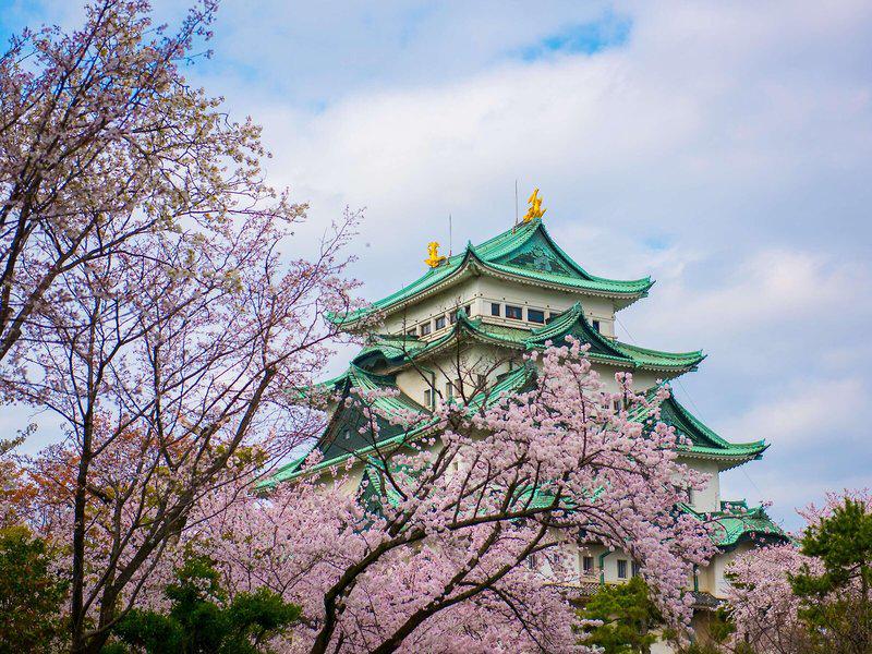 72099E95FEC17242688E05EA5EC25809