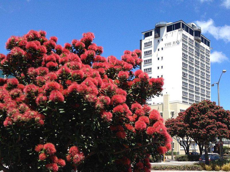 D403CEE0B03854767432F4C31684ECB2