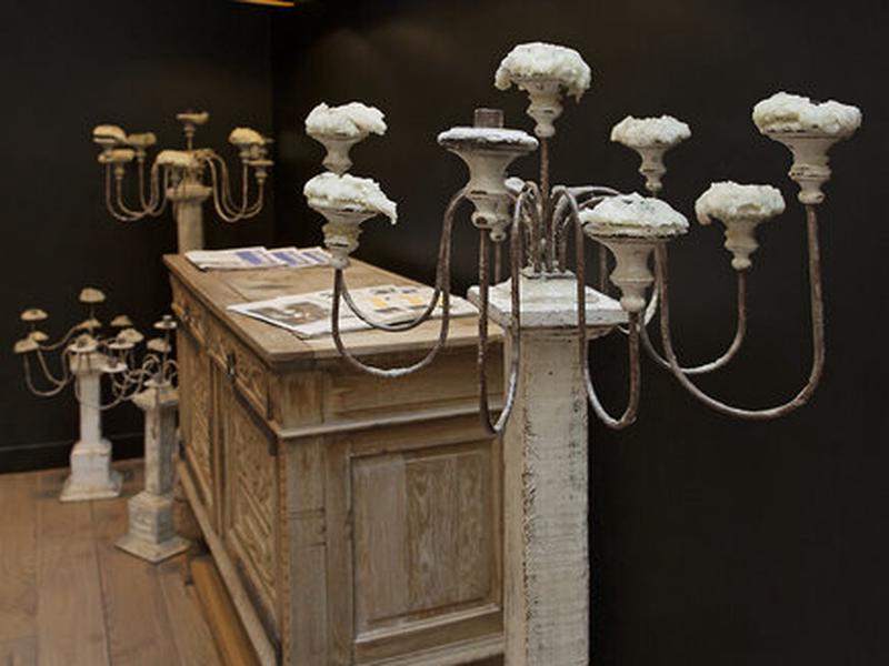 7F6F49C5484177444394F3A90C833295