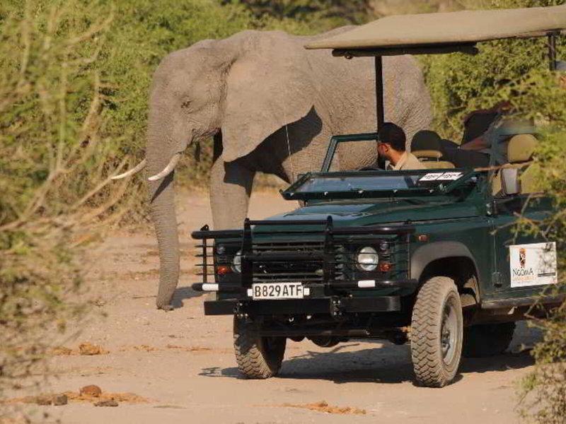 C33298A762C5844FD9FBAC403BF1082F