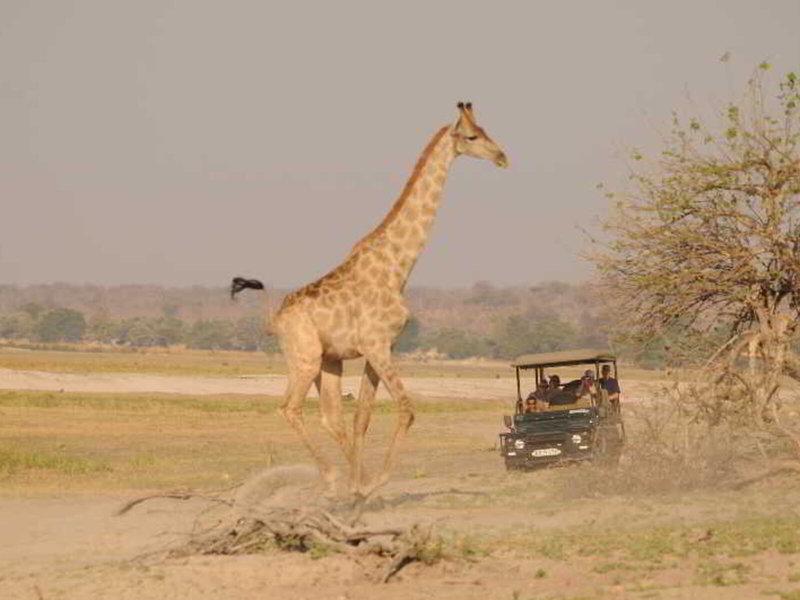 F1F903B614B413FDAA5F1A4BE17A0FB5