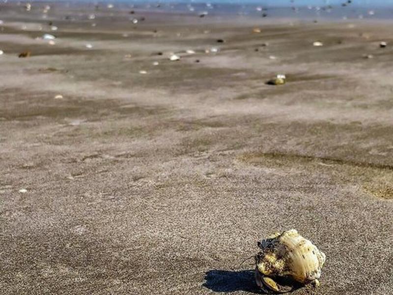 B9B8AD9C92AC402CFCD5A5D21ED035A3