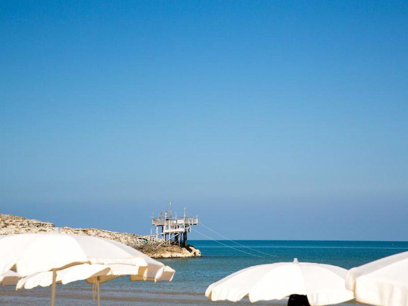 8235D3A12F989DCDA39E46454EAF6BFC