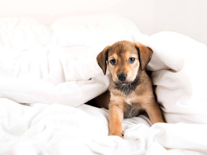 3BE1FC72F0D2EC0902F149682EECB6D2