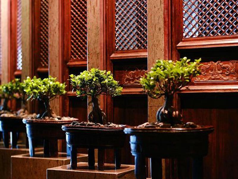 16D4C850F9124C2CA8093CC5537F8BD9