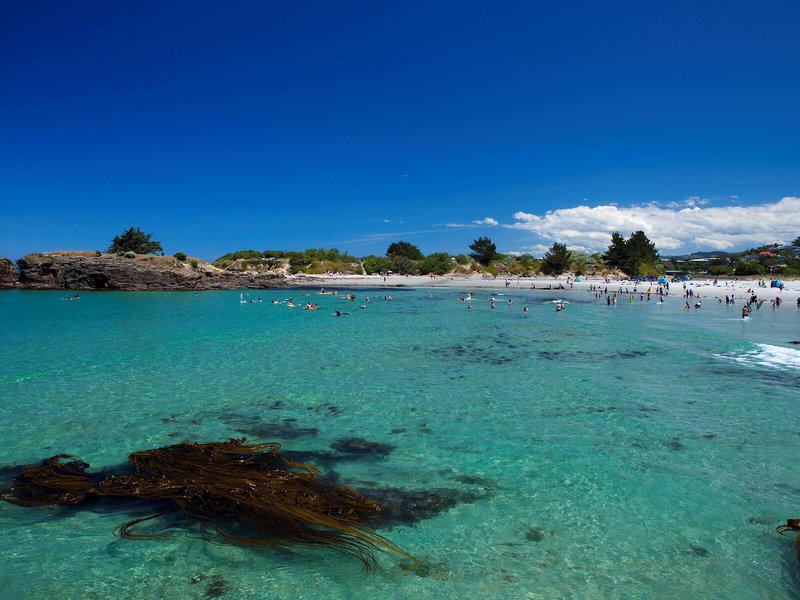 06DD9BFB2E01EF663FE1B0B1D3845419