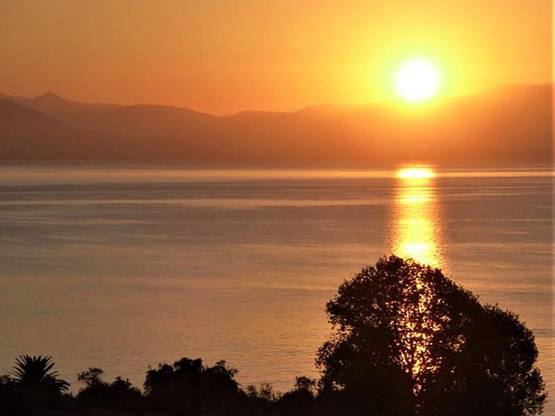 D4AFC24ACB9045B06B30DAB8CF7ADB65