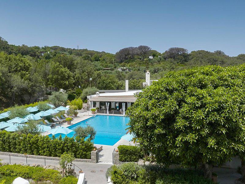 CD0BA89A6B66C91C9B4B63A9FC7857E0