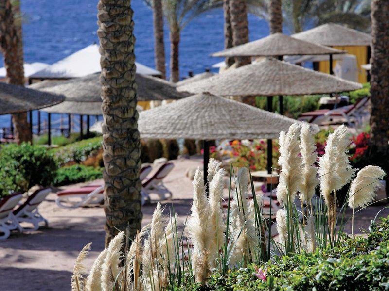 AE8E213EC2252D850326DDA7F9B4A7B5