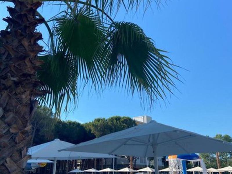 FEADEDD13532496EAA12527F43BD61E4