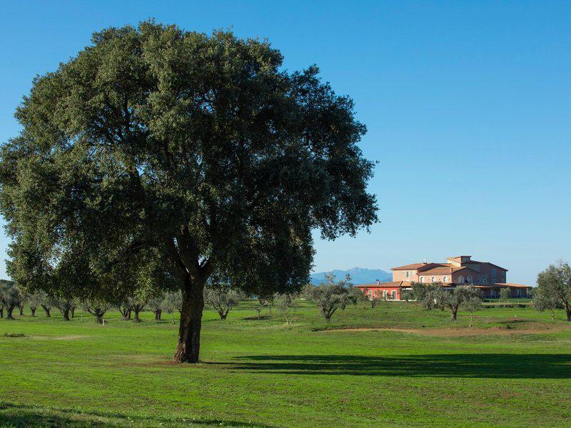 B34728BB43A7DD25239CA11B1D140A30