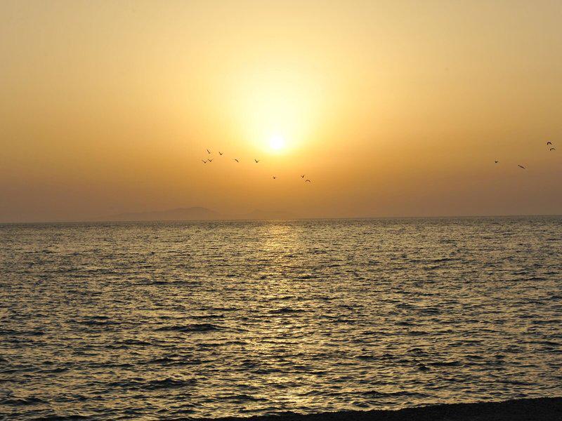 CB79FE72B3ABD1DC96C404C995E530E5