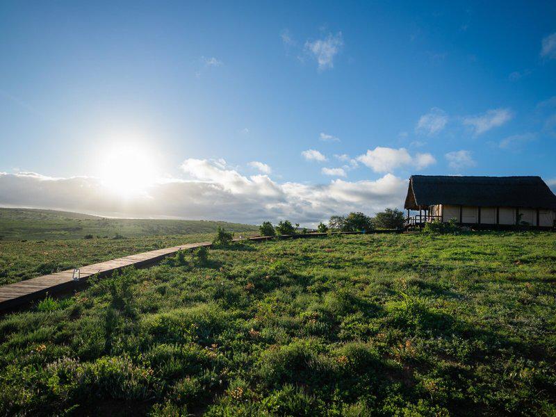 09DD95EB1DBF544A5177FB4E1B8D0DF4