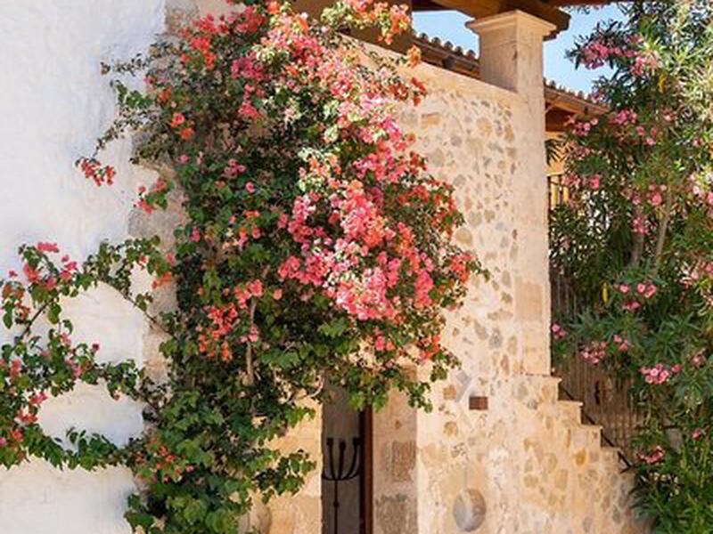 EE13D02CAD12F1A5D9402B155CC8C94F