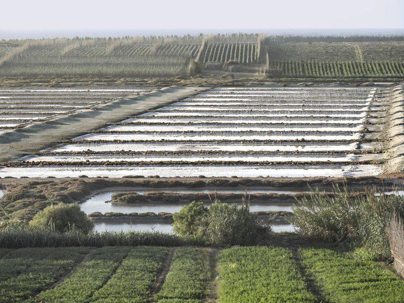 057B916F87DA681D28B42816D92B4BBF