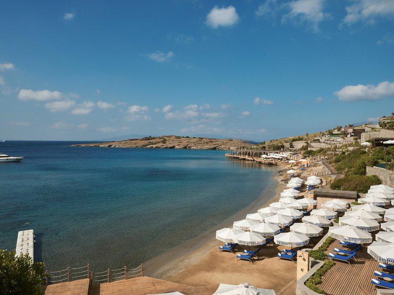 93761D8C6F99FD65D97881770D0CD115