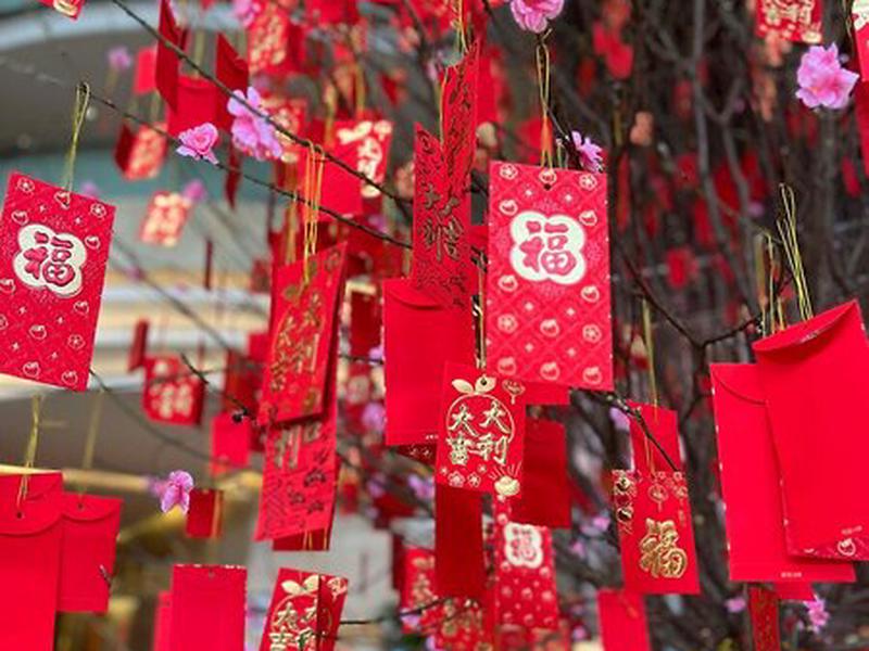 3C2561D1C7899364886F14A5839925EC