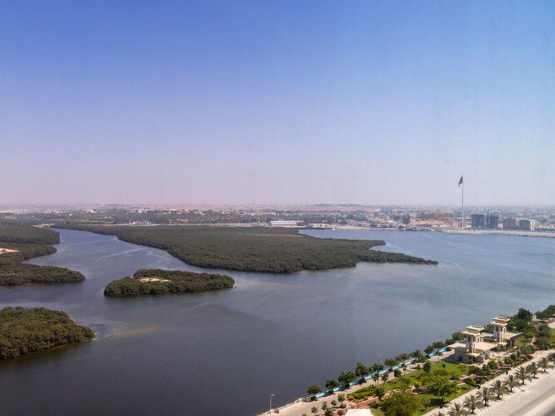 45FAF10A726CAA004A1FC6FA31521A22