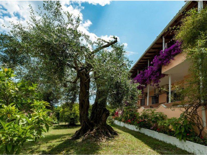 238781E2D176C6DFA049D89BE53DE2CA