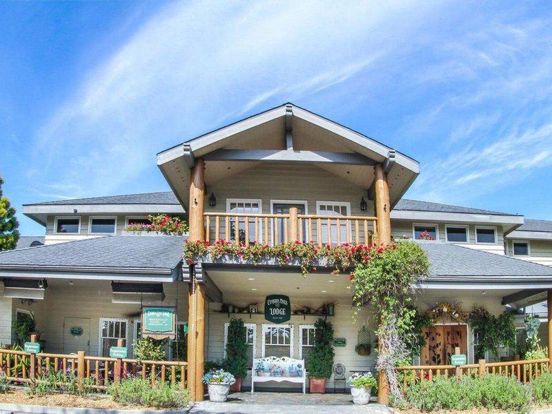 4A4CEDF24F3AD4FA2D738DCBBCC04F48