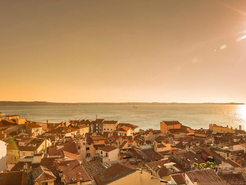 7D33C095EE7C9395B3AB0FF59A1ECD3F