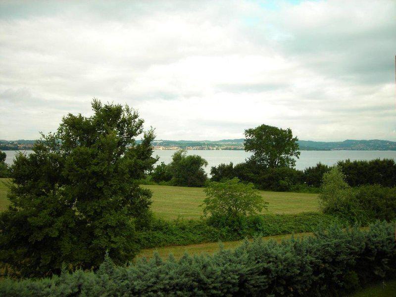 8F781323BD56927E045B06DD913B4DA6