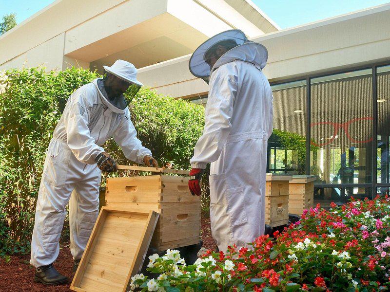 18273C481BCD8F09B6D9779DD45D5D60