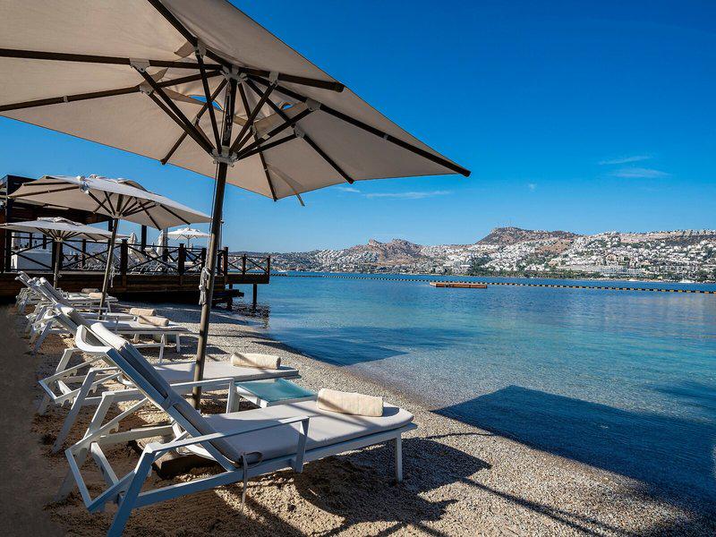 66FC5DCD48B25C29A1123F14C6054EFC