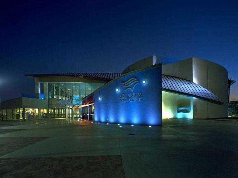 604E725CB8BCFA3726849BDB2A9C560B