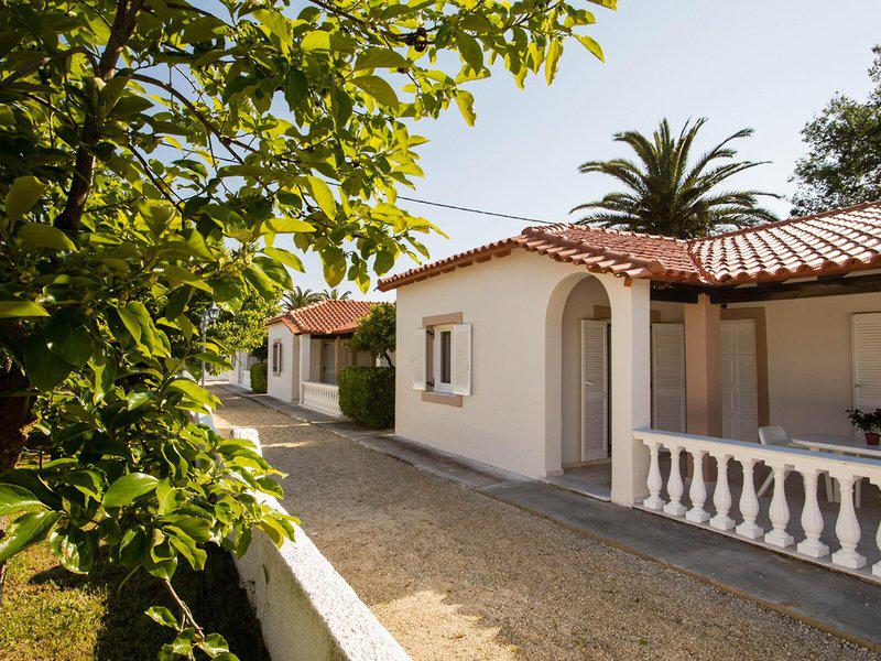 EA266D0DA6264E8519DA1B8E3A482569