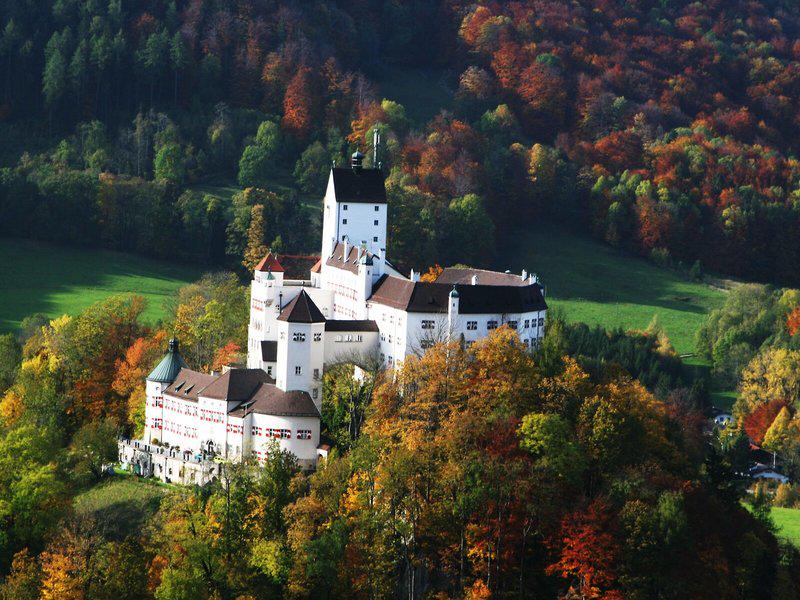 EF8F40FE5869F0C9D501FA50B9F7354E