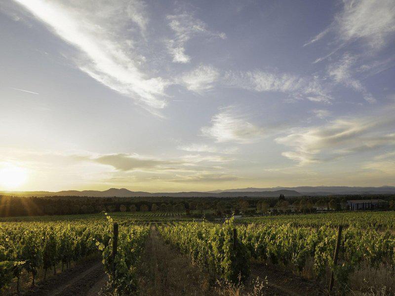 7804775173D86DA6F10C73DEC1816375