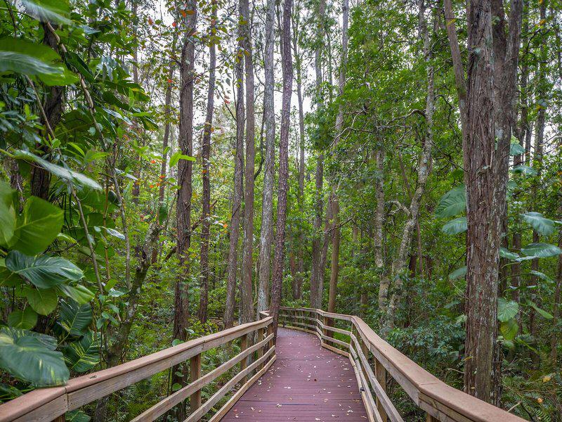 46C39DCDB3E4DD9CCBF5849A64CBDD99