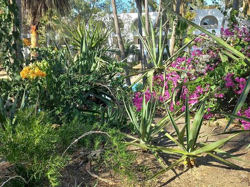 4216EB1A28F7E77192FA14AAE6692B2E