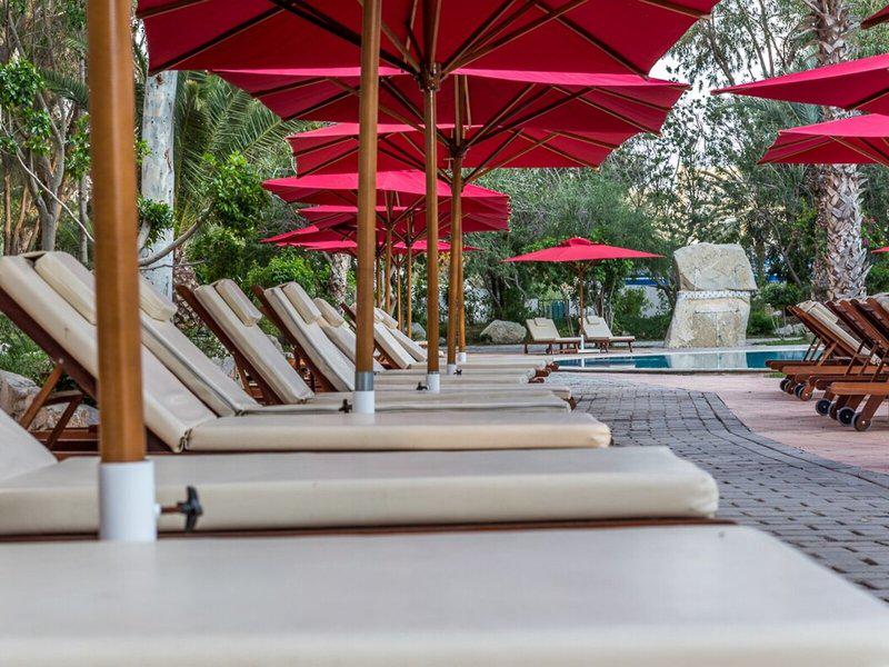 54CA8E81324CB40D324BD8EC9ACEE665