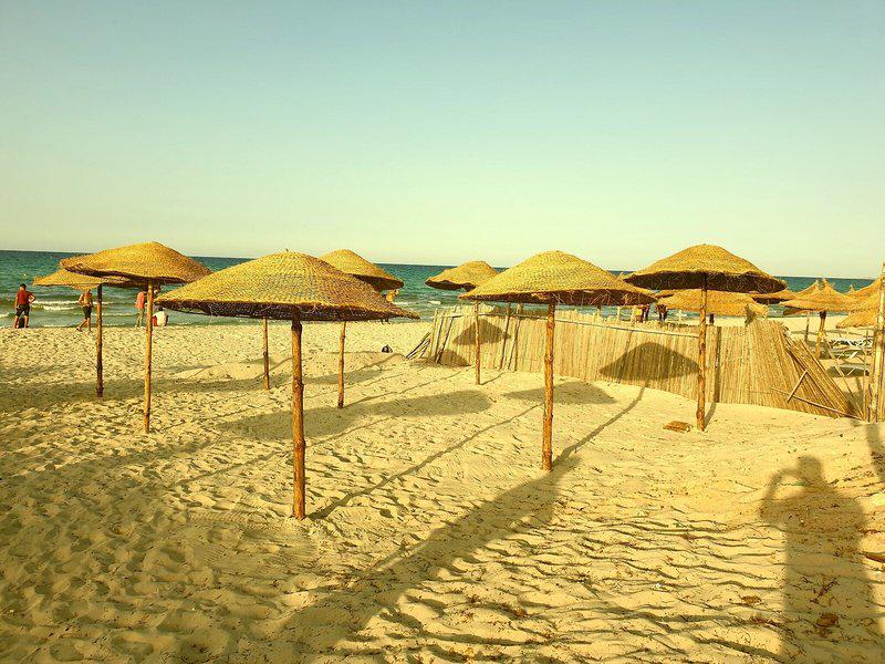 E5A15BDE454C5310E397AD8A10837A89