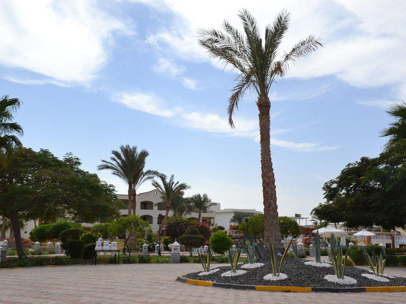 99B0A29AEB72F379DD6BB395E4FE9B24