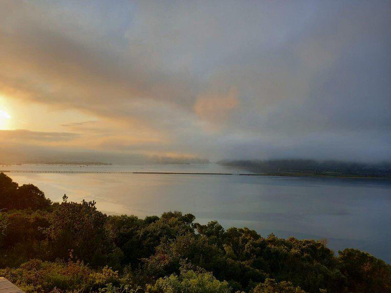 A83689EB3330DCD5CA954B48FF21A2F0