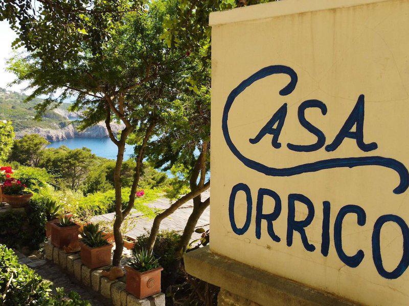 A2B33CE7CA6DA423B740AD1B7D81E997