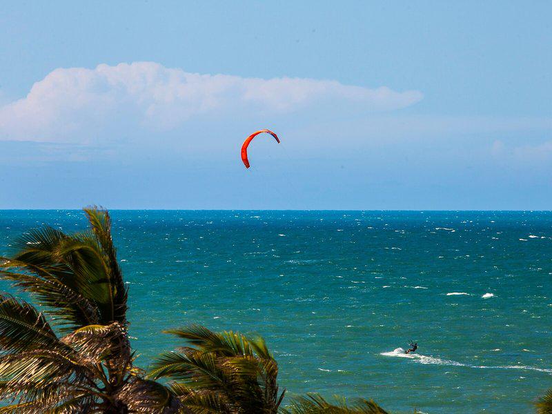 2ED104755118A646553F6CF17A41BE2D