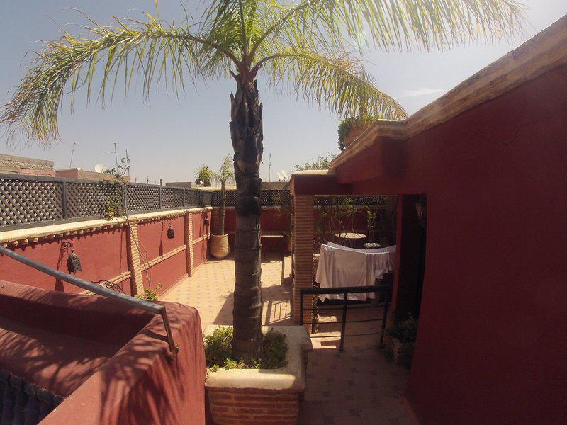 CC49A5D26DAE8D554801F7335F709BC2