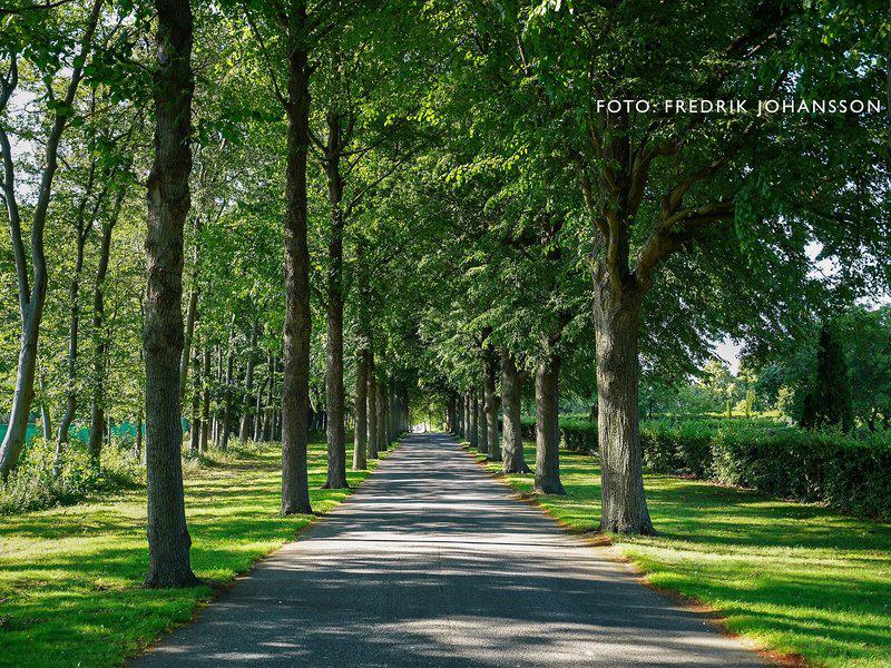 70ECAFDEF30BFBC90C3306C96D4657DC