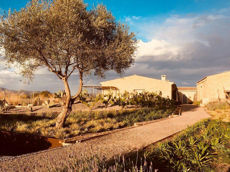 D809E4DEC77C17EE4D6B9E2E28E665D1