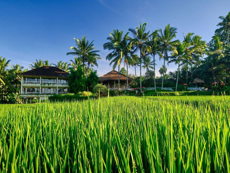 D8B2699EE1B17333E25F7465D3132EDA