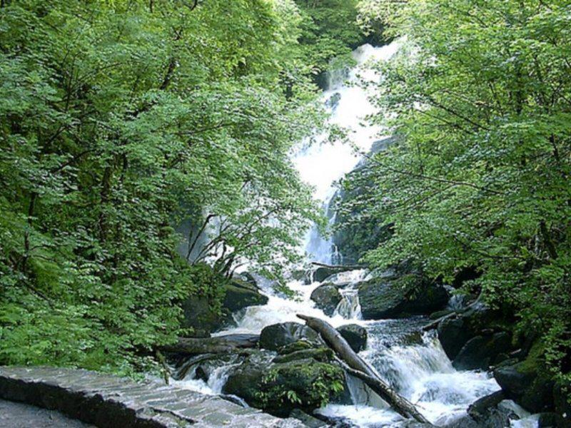 7584C04424426756F3C5469757E1550E