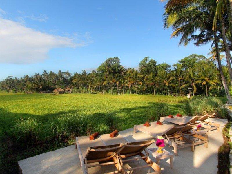 92C0E042E4B5B875E288BFF6F6C62BC1