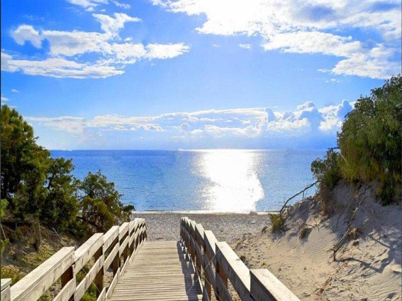 16B19827EB8774A297F55C7AB7DC4338