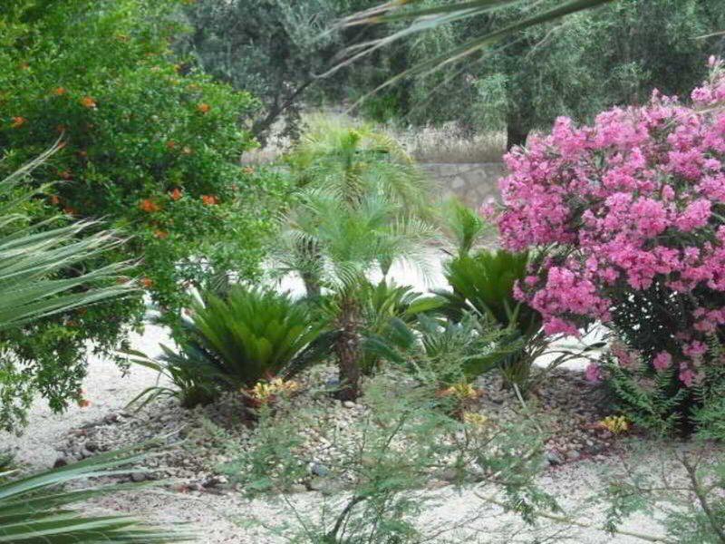 556EE1347C74910995D36242DF81462E