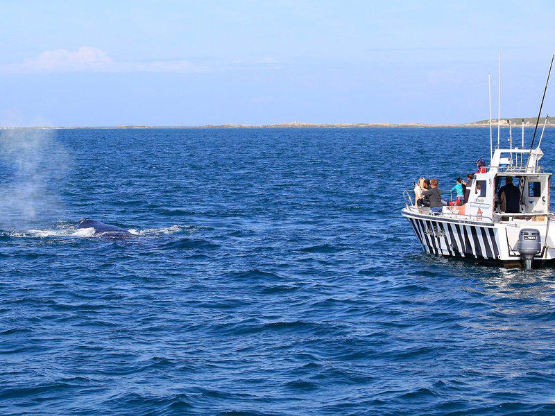 32EE1C84388B8E9F4AE8047B003244F1